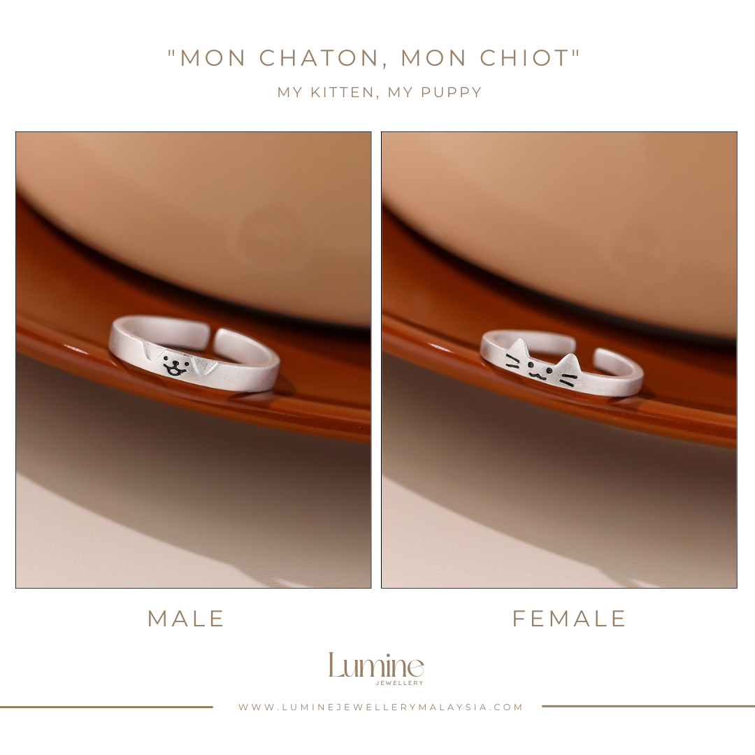 Mon Chaton, Mon Chiot