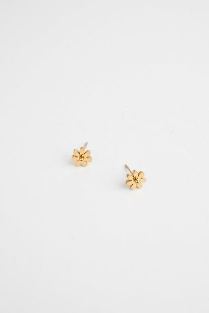 Golden Daisy Earring