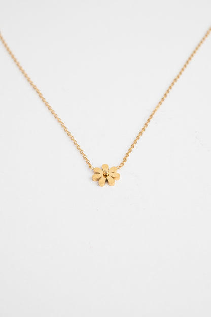 Golden Daisy Necklace