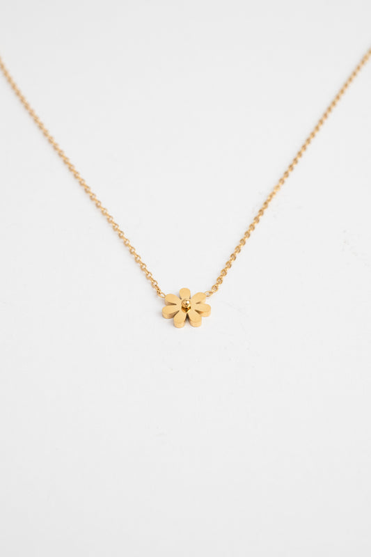 Golden Daisy Necklace